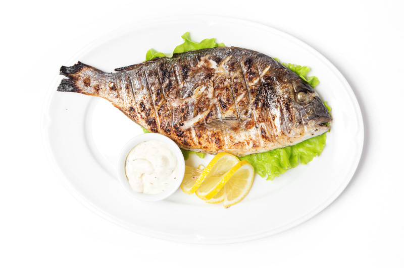 Grilled Dorada